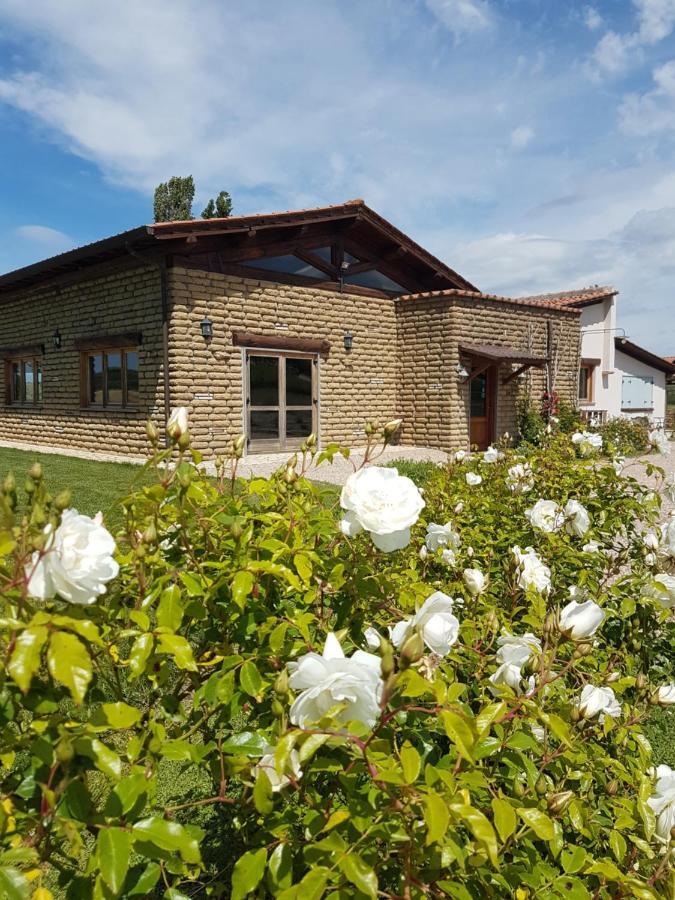 Agriturismo Podere Farnesiana ตาร์กวิเนีย ภายนอก รูปภาพ