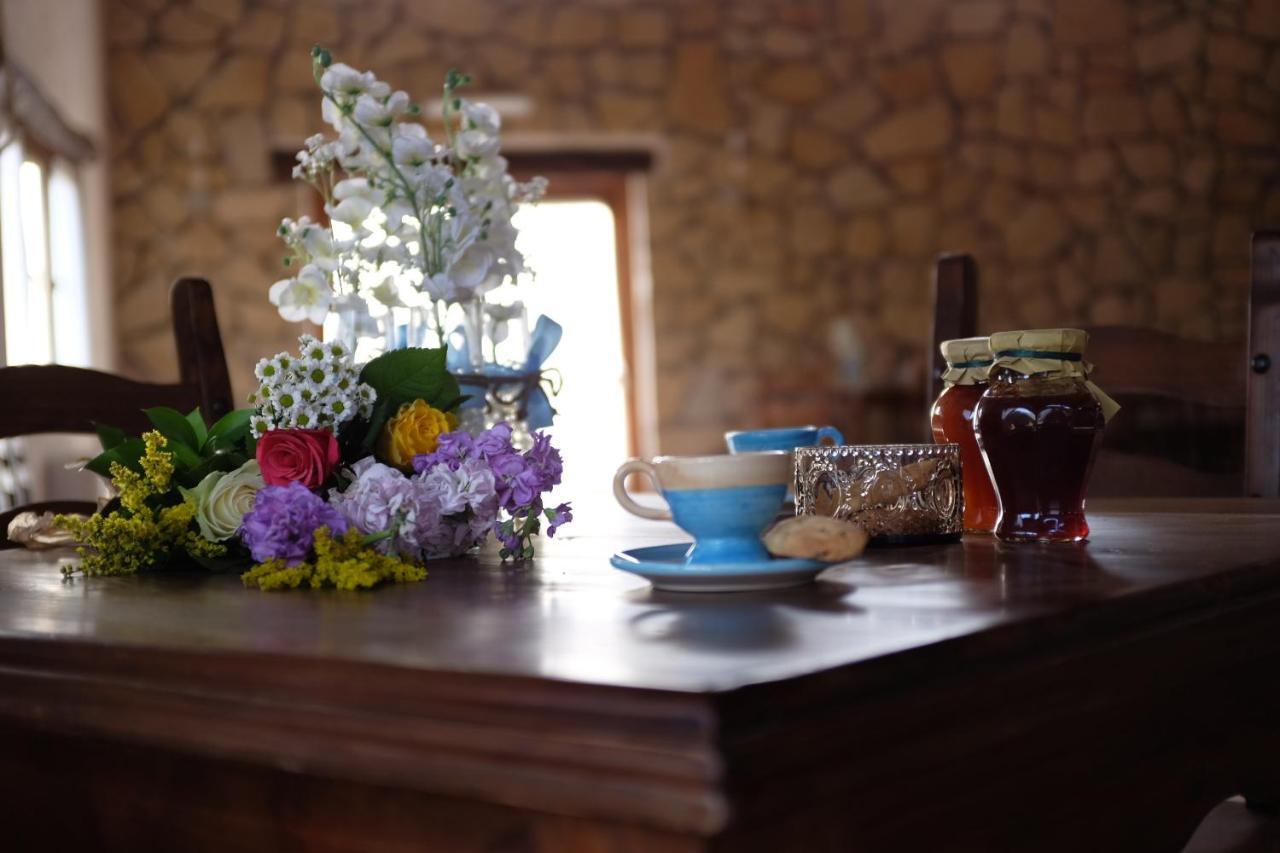 Agriturismo Podere Farnesiana ตาร์กวิเนีย ภายนอก รูปภาพ